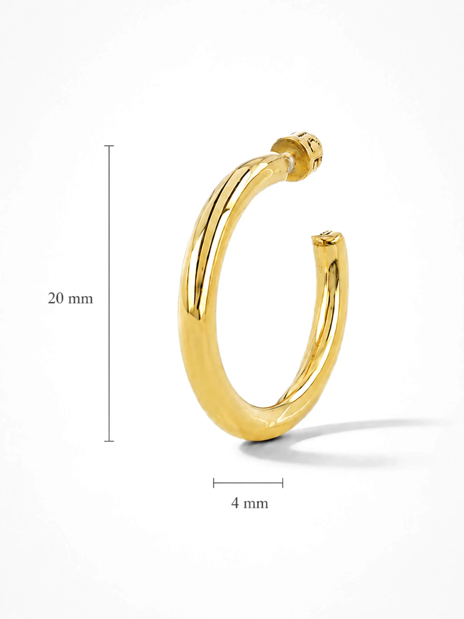 Gouden Oorbellen Hoops Creolen Harlem Small