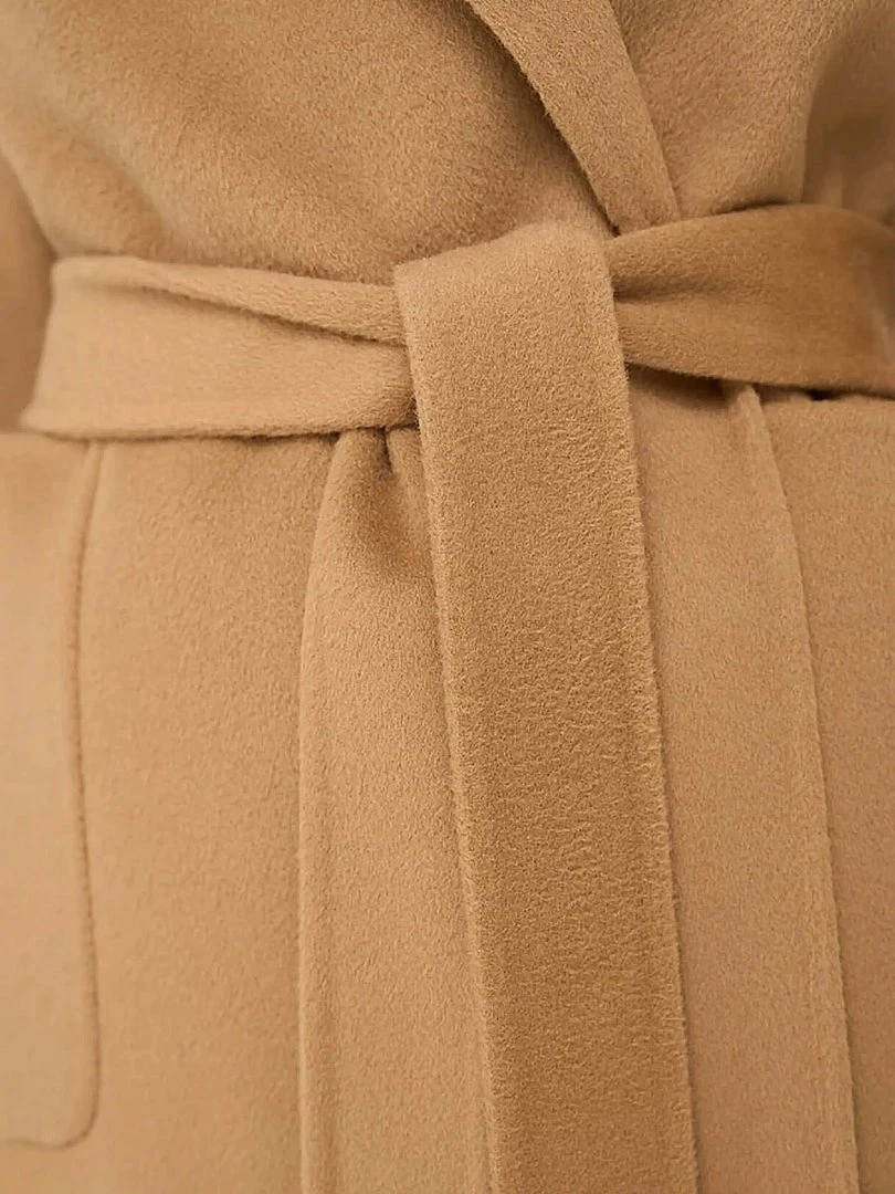Jules Camel