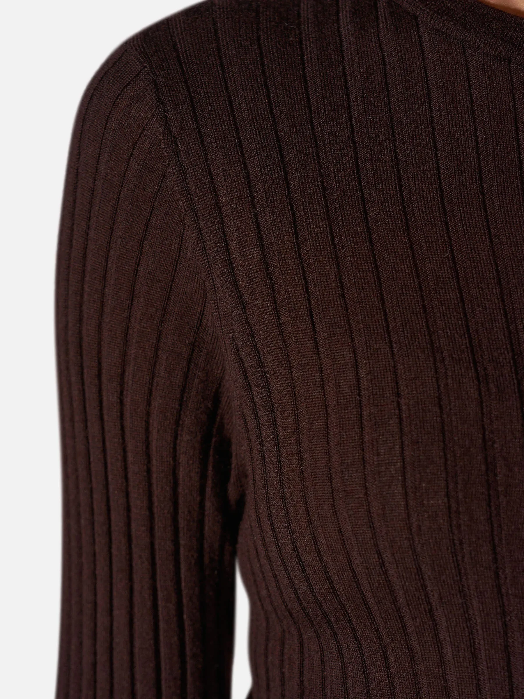 Merino Wollen Rib Truitje Lange Mouw Lyle Bruin