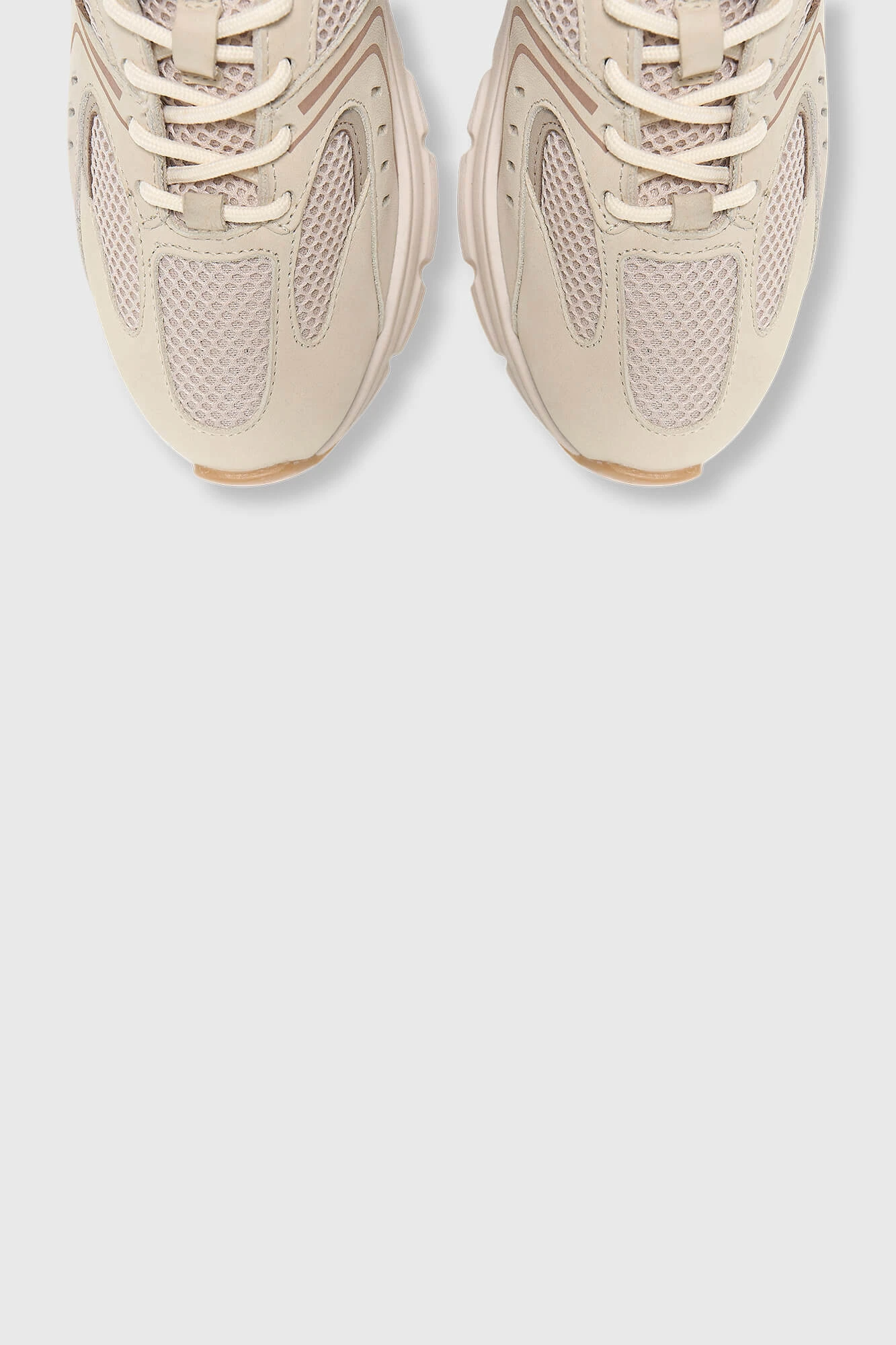 Bolt Camel 553 Suede