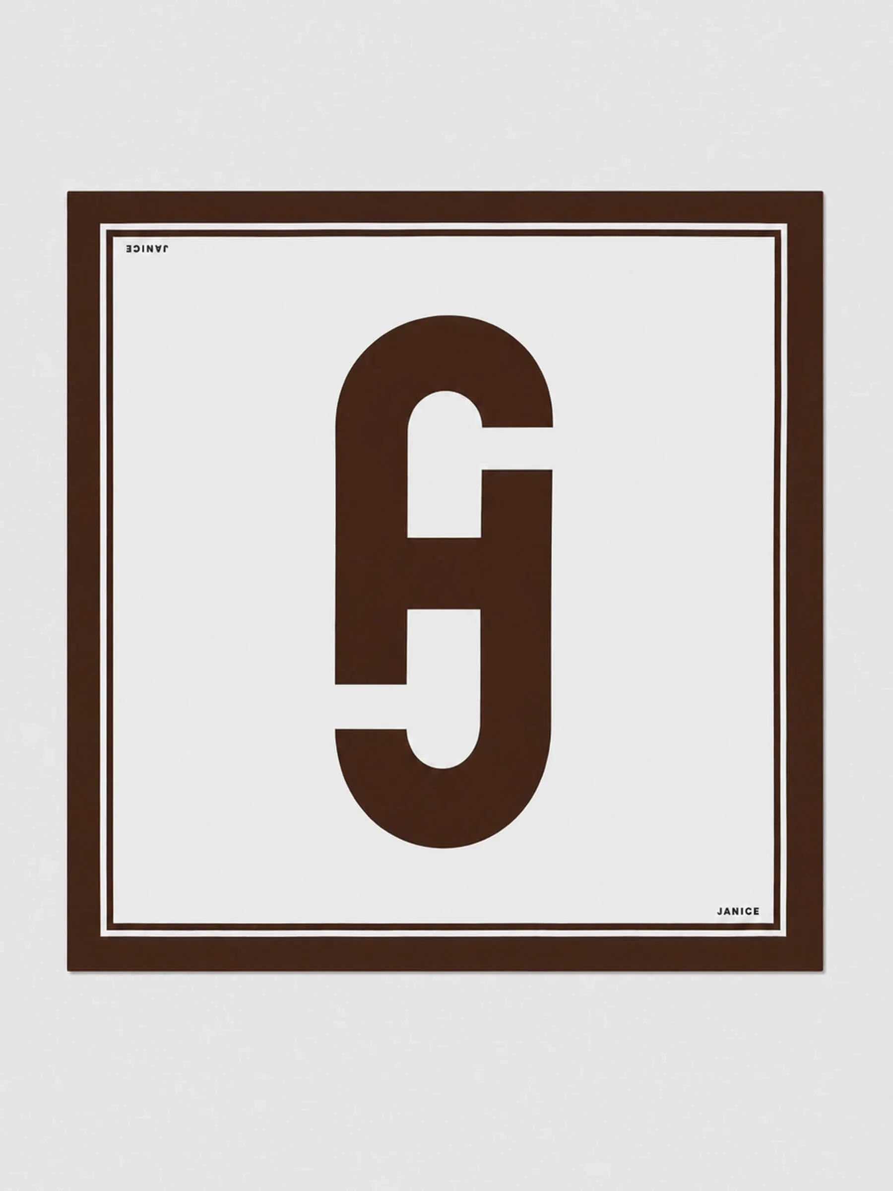Zijden Sjaal Dames Effron Logo Bruin
